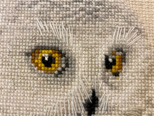 White Owl Cross Stitch Kit