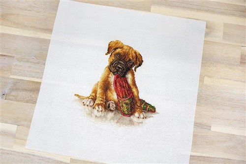 The Boxer Cross Stitch Kit