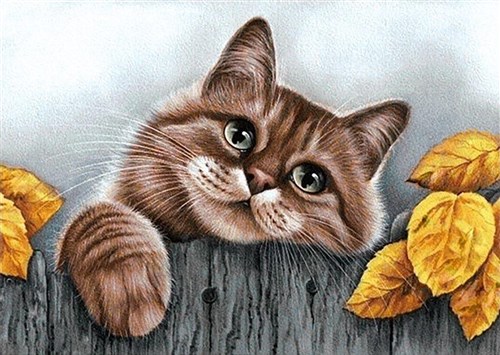 Village Cat Diamond Painting Kit