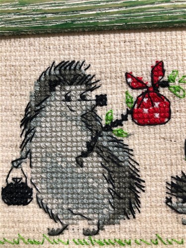 Hedgehogs Cross Stitch Kit