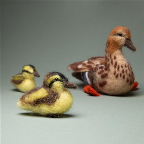 Friendly Family Felting Kit