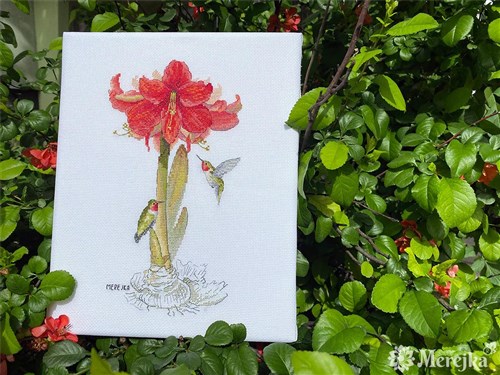 Amaryllis Cross Stitch Kit