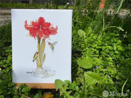 Amaryllis Cross Stitch Kit