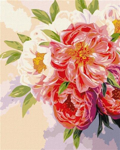 Paint By Numbers Kit - Peony Mood