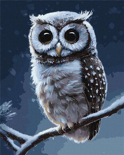 Paint By Numbers Kit - Forest Owl