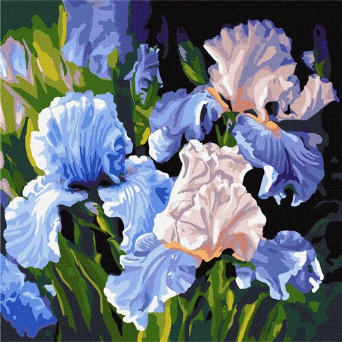 Paint By Numbers Kit Bright Irises