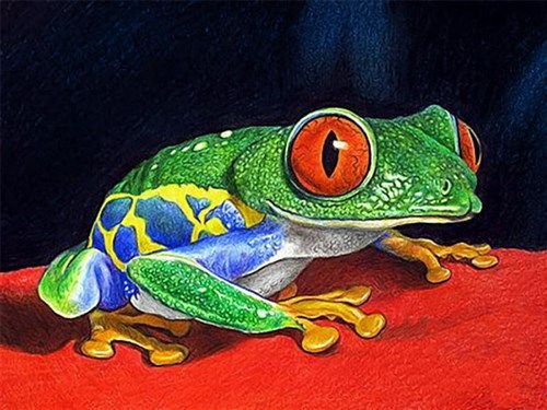 Frog Diamond Painting Kit