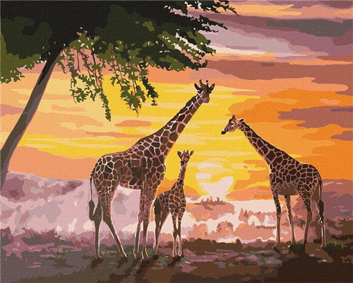 Paint By Numbers Kit A Family Of Giraffes