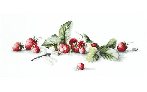 Etude With Strawberries Cross Stitch Kit