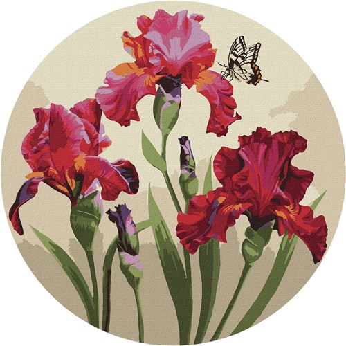 Paint By Numbers Kit Exquisite Irises