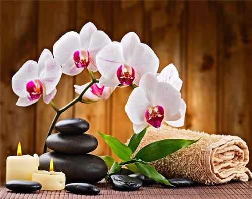 Aromatherapy WD039 18.9 x 14.9 inches Wizardi Diamond Painting Kit
