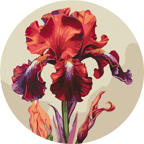 Painting by Numbers kit Magic iris KHO-R1023