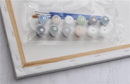 Painting by Numbers kit Walking the streets KHO3581