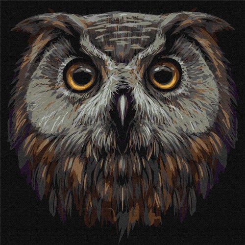 Painting by Numbers kit Bird of wisdom KHO4388