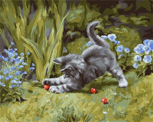 Painting by Numbers kit Playful kitten KHO4251