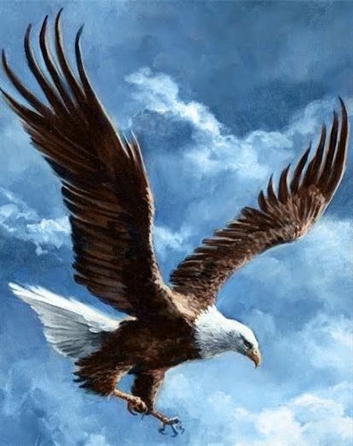 Sky Conqueror WD2346 14.9 x 18.9 inches Wizardi Diamond Painting Kit