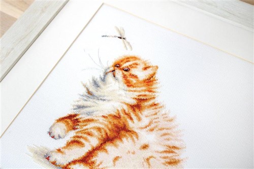 Kitten with a dragonfly B2270L Counted Cross-Stitch Kit
