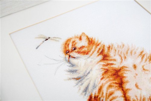 Kitten with a dragonfly B2270L Counted Cross-Stitch Kit