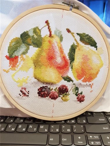 Pears 5-16 Counted Cross-Stitch Kit