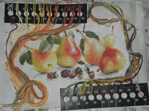 Pears 5-16 Counted Cross-Stitch Kit