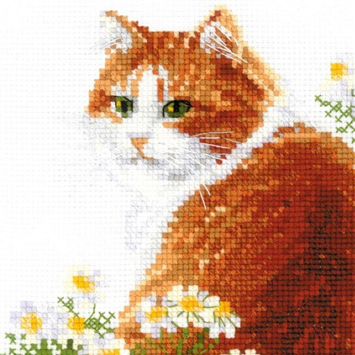 Ginger Meow R2110 Counted Cross Stitch Kit