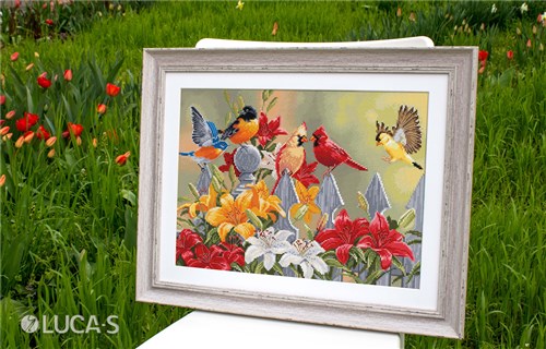 Backyard Birds with Daylilies BU5024L Counted Cross-Stitch Kit
