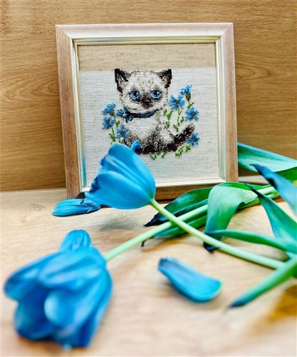 Siamese Kitten R2118 Counted Cross Stitch Kit