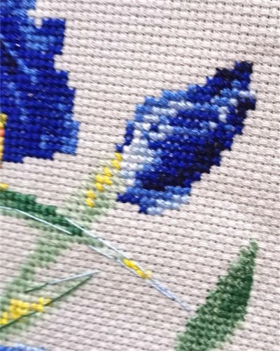 Blue Irises R2102 Counted Cross Stitch Kit