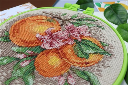 Cross-stitch kits Citrus notes AHM-076