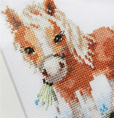 White mane Horse 0-114 Counted Cross-Stitch Kit