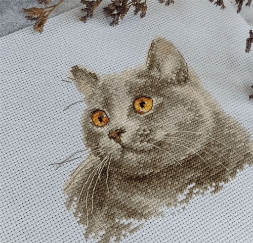 British Cat 0-134 Counted Cross-Stitch Kit