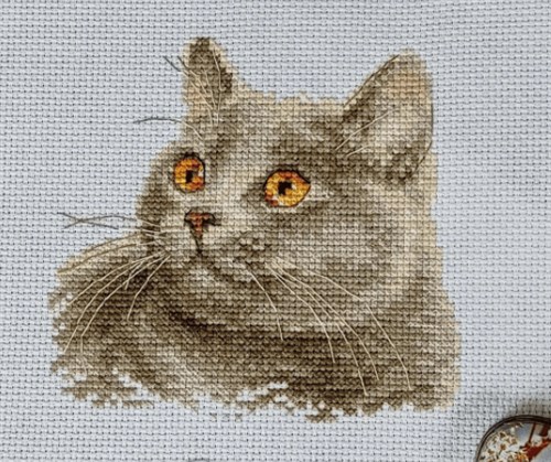 British Cat 0-134 Counted Cross-Stitch Kit