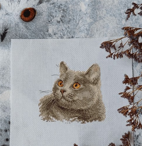 British Cat 0-134 Counted Cross-Stitch Kit