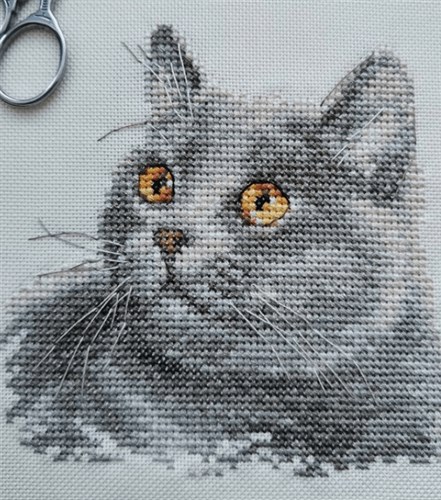 British Cat 0-134 Counted Cross-Stitch Kit