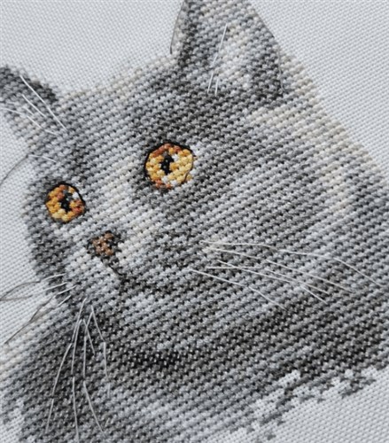 British Cat 0-134 Counted Cross-Stitch Kit