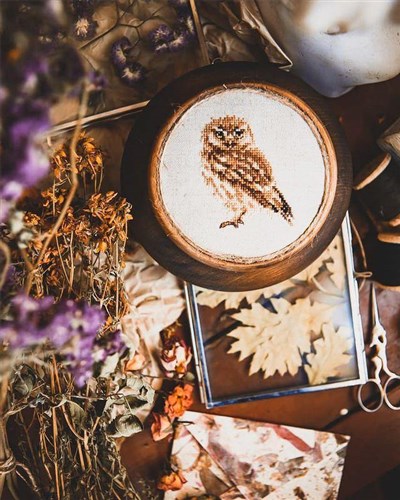 Owl 0-166 Counted Cross-Stitch Kit
