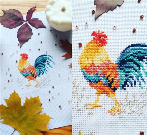 Rooster  0-172 Counted Cross-Stitch Kit