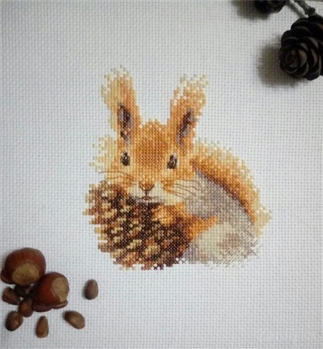 Squirell 0-173 Counted Cross-Stitch Kit