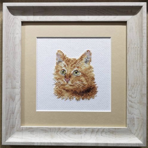 Animal Portraits. Ginger Cat 0-207 Counted Cross-Stitch Kit