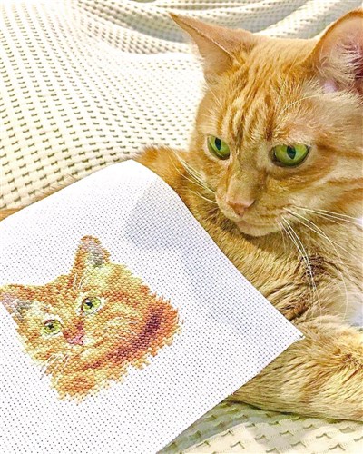 Animal Portraits. Ginger Cat 0-207 Counted Cross-Stitch Kit