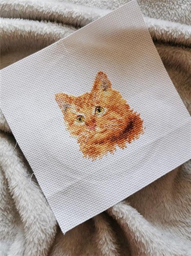 Animal Portraits. Ginger Cat 0-207 Counted Cross-Stitch Kit