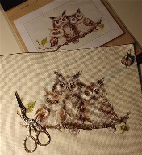 Owls 0-210 Counted Cross-Stitch Kit