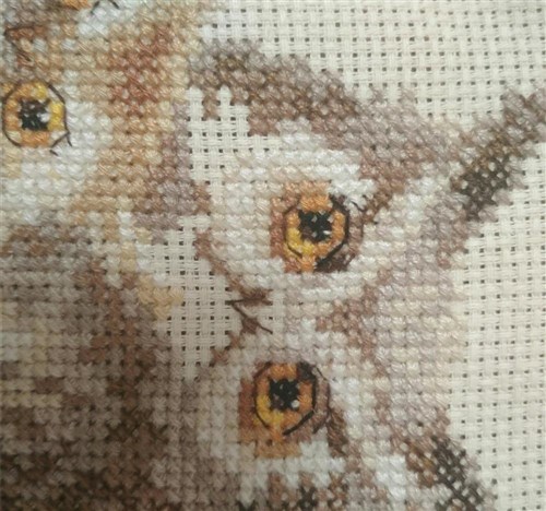 Owls 0-210 Counted Cross-Stitch Kit
