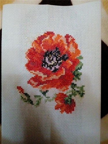 Poppy 0-80 Counted Cross-Stitch Kit