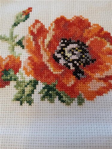 Poppy 0-80 Counted Cross-Stitch Kit