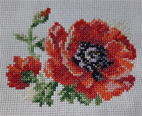 Poppy 0-80 Counted Cross-Stitch Kit