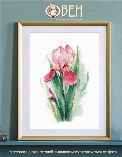 Pink iris 1424 Counted Cross Stitch Kit