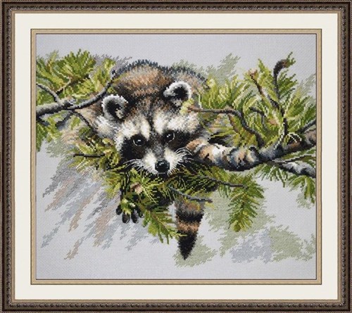 Curiosity 904 Counted Cross Stitch Kit