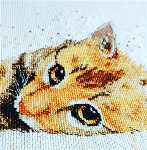 Sluggard 929 Counted Cross Stitch Kit