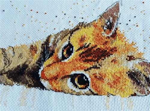 Sluggard 929 Counted Cross Stitch Kit